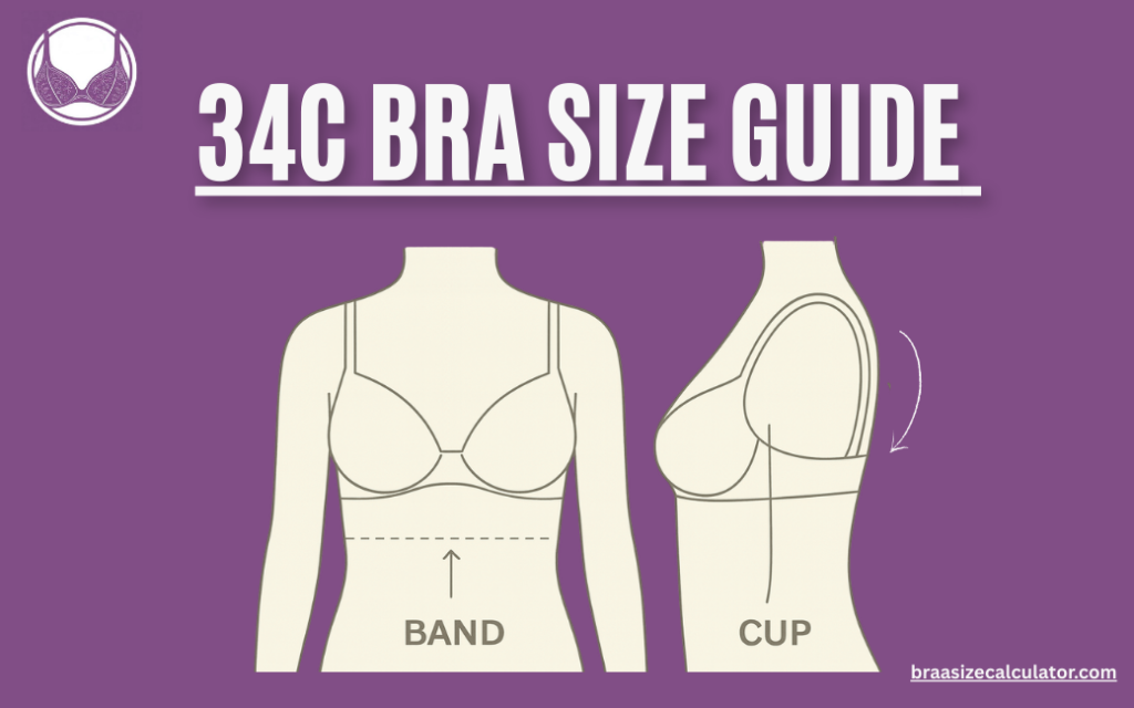 34C Bra Size