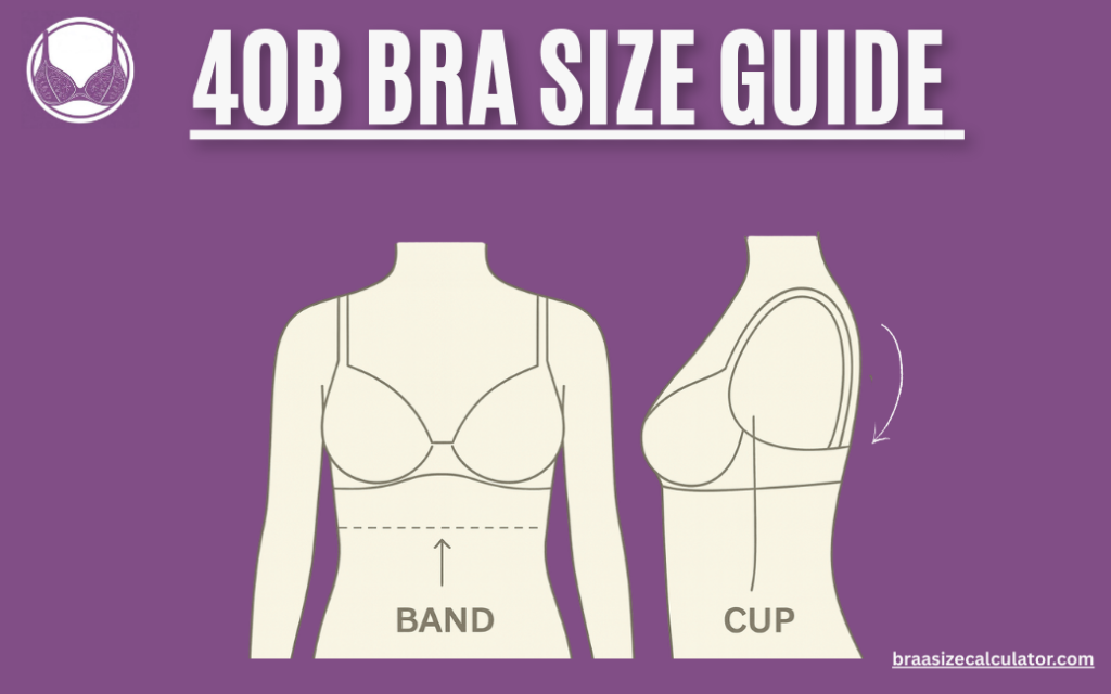 40B Bra Size