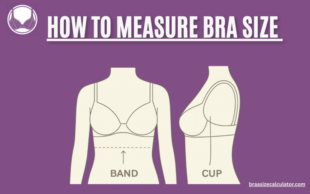 How to Measure Bra Size (Step-by-Step Guide for the Perfect Fit)