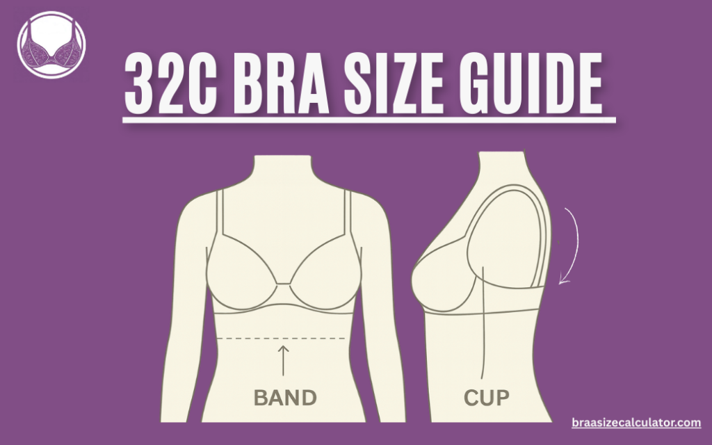 32C Bra Size
